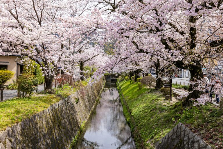 Welcome Home Kyoto: A New Beginning for Foreign Homebuyers in Kyoto